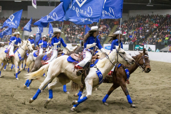 Equine Affaire Columbus 2026