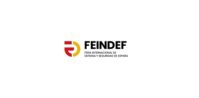 FEINDEF
